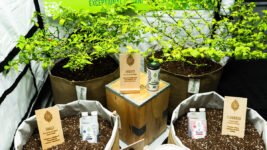 Comment utiliser les amendements organiques du sol